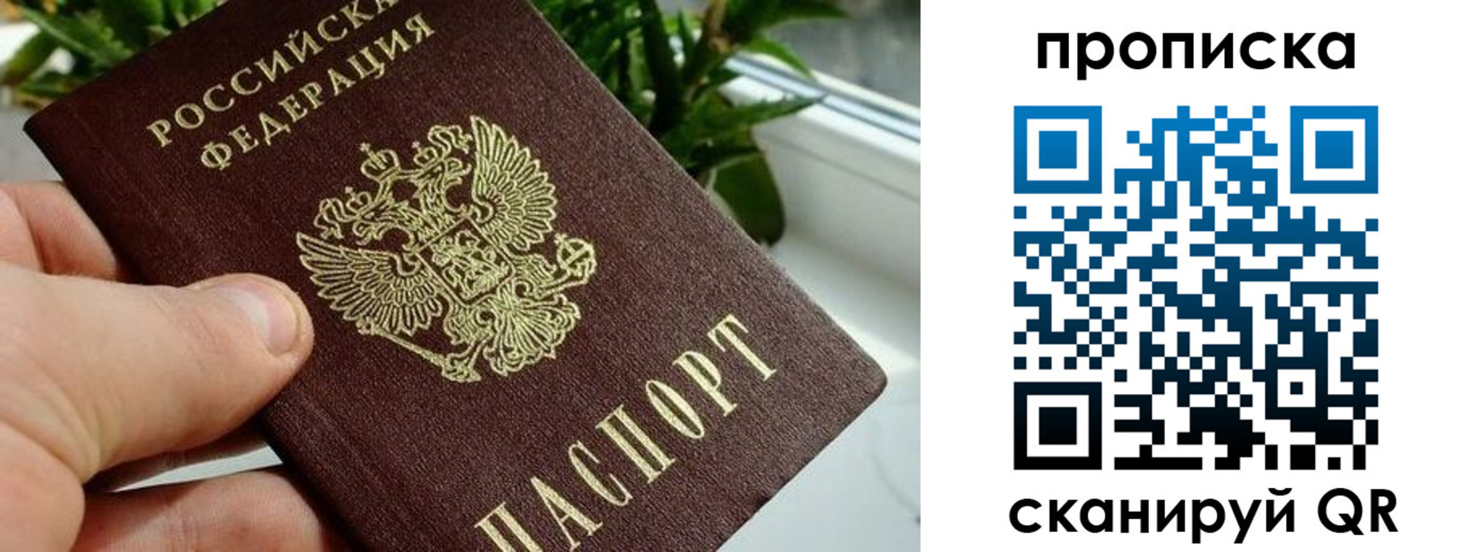 временная прописка в Электростали